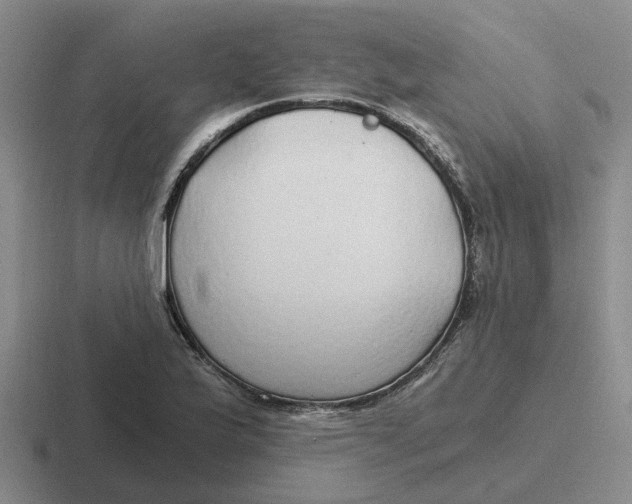 X0000116861175201001051419