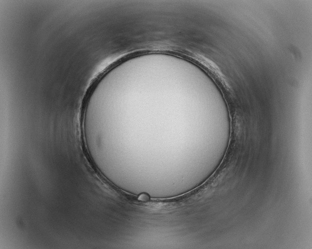 X0000116861176201001051419