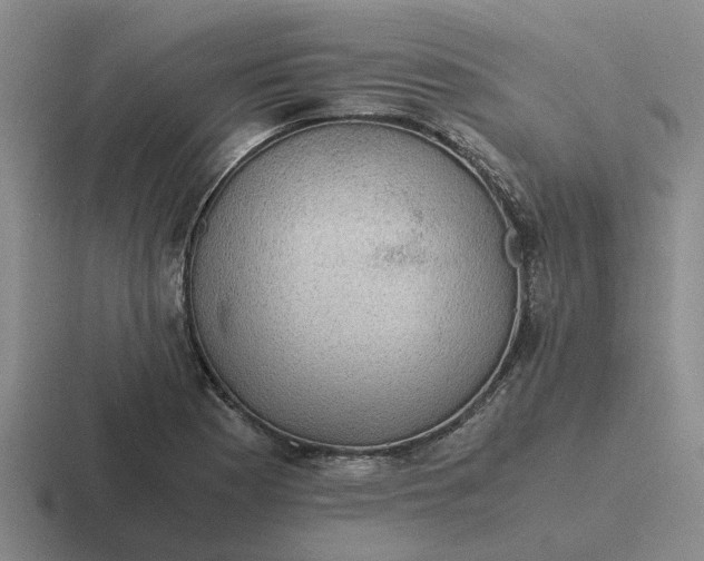 X0000116861177201001051419