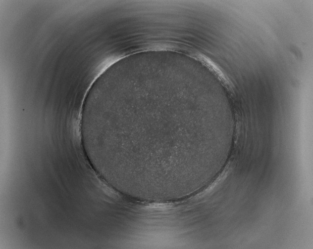 X0000116861178201001051419