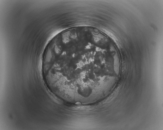 X0000116861179201001051419