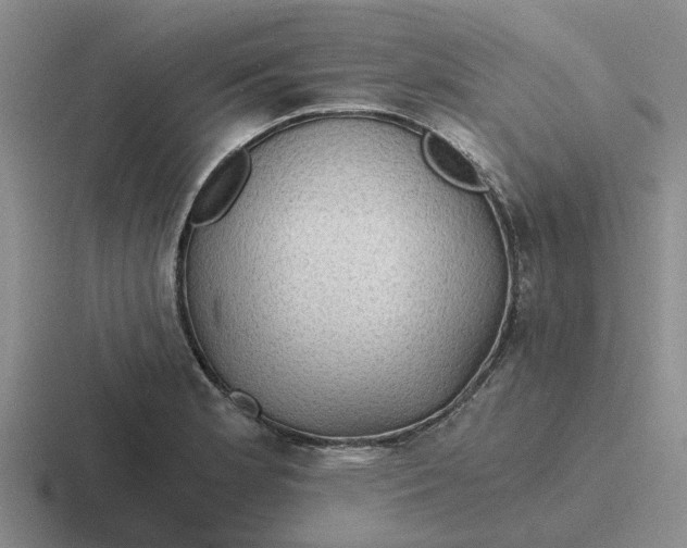 X0000116861181201001051419