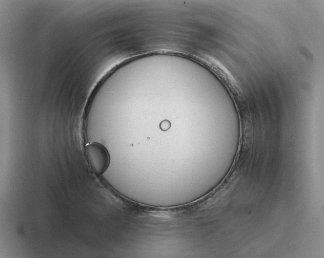 X0000116861182201001051419