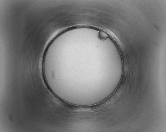 X0000116861183201001051419