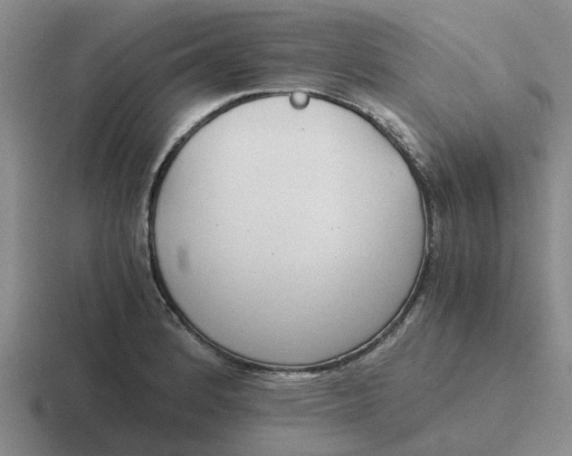 X0000116861184201001051419