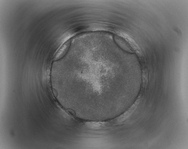 X0000116861185201001051419