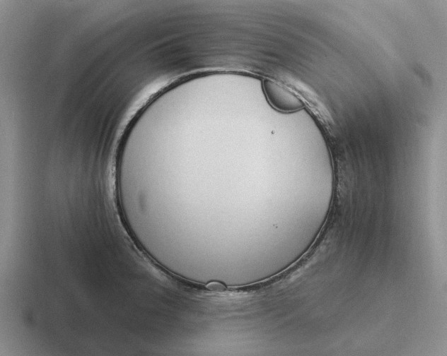 X0000116861188201001051419