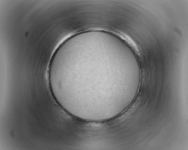 X0000116861190201001051419