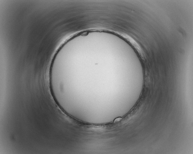 X0000116861191201001051419