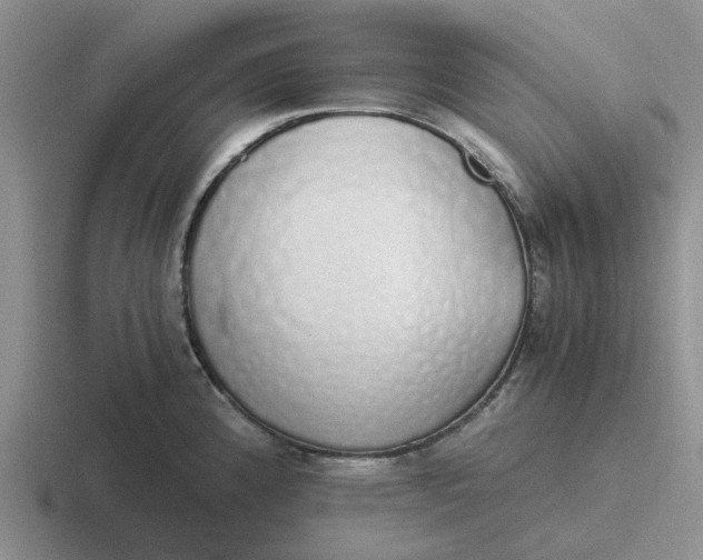 X0000116861192201001051419