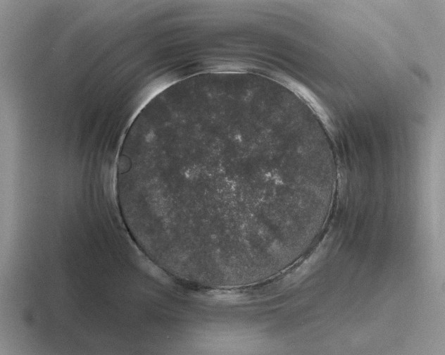 X0000116861194201001051419