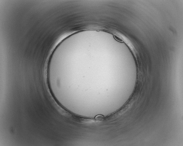 X0000116861195201001051419