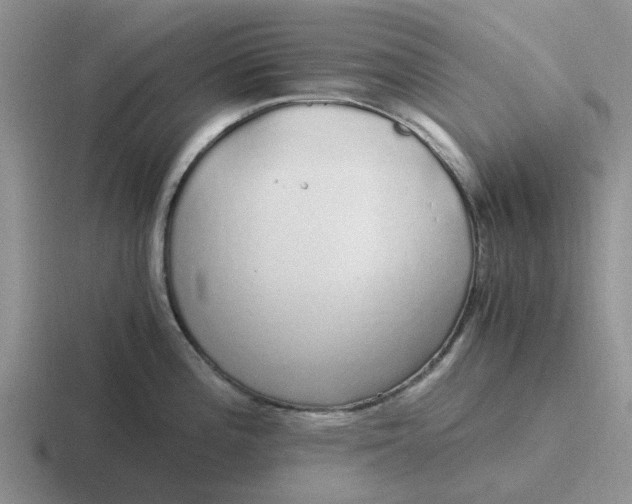 X0000116861196201001051419