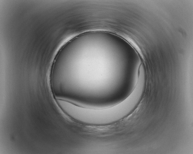 X0000116861197201001051419