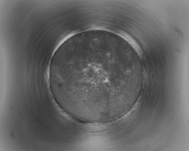 X0000116861198201001051419