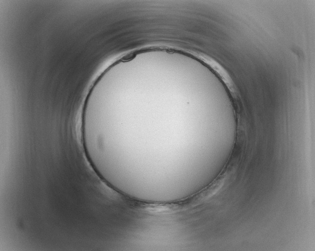 X0000116861199201001051419