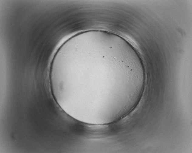 X0000116861200201001051419