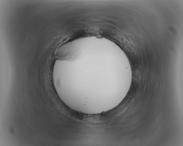 X0000116861201201001051418