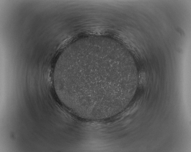 X0000116861202201001051418