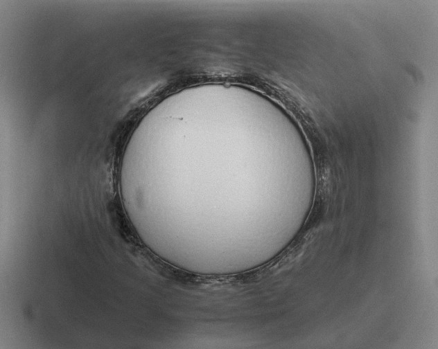 X0000116861205201001051418