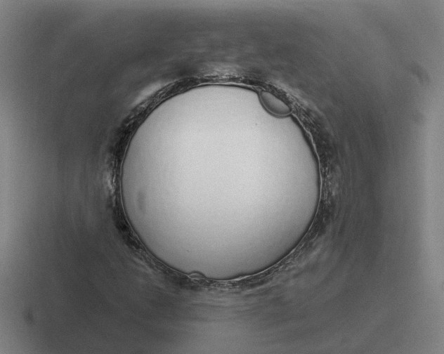 X0000116861206201001051418