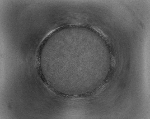 X0000116861208201001051418