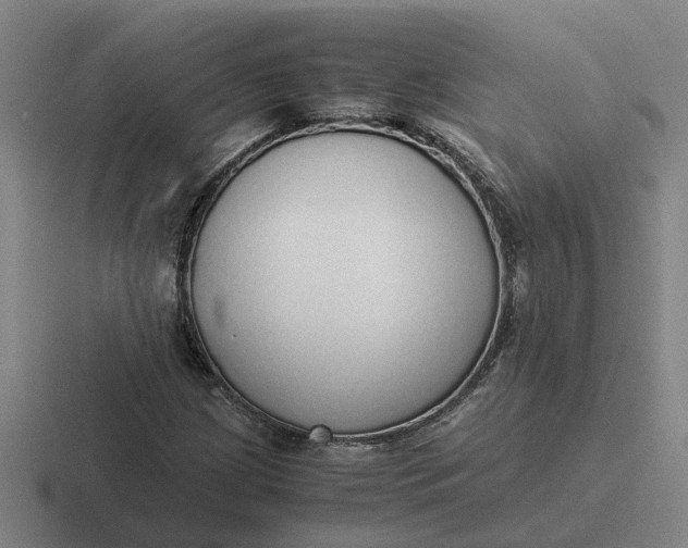 X0000116861209201001051418