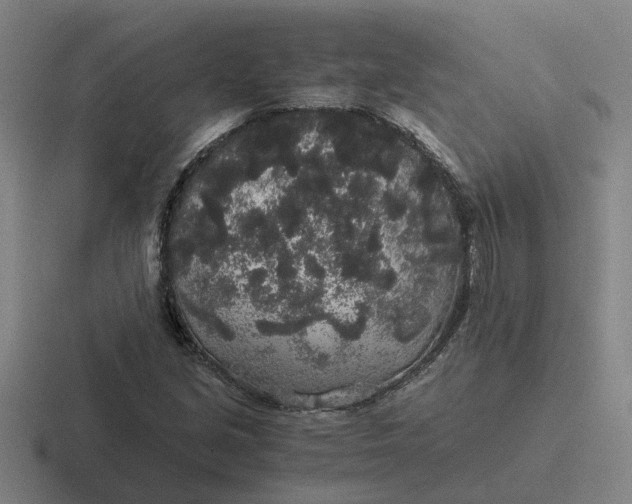 X0000116861213201001051418