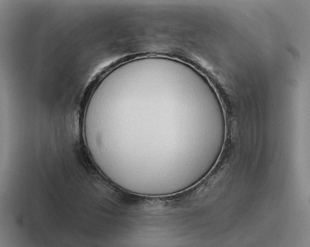 X0000116861214201001051418