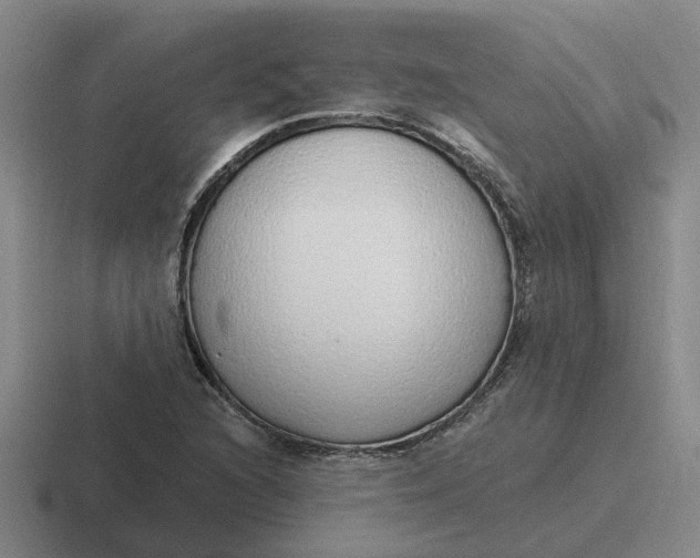 X0000116861216201001051418