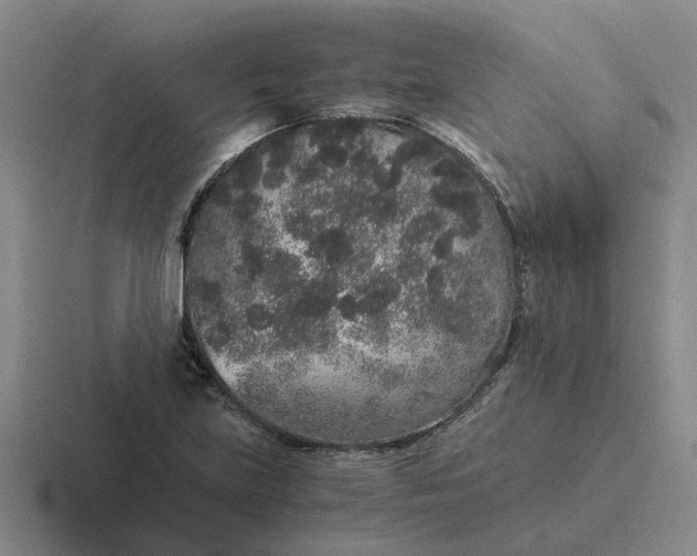 X0000116861219201001051418