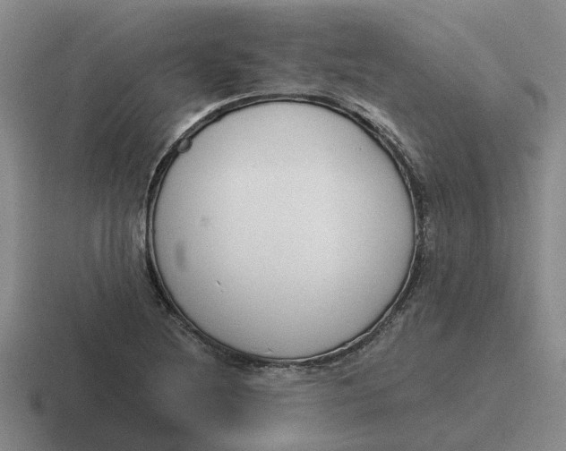 X0000116861220201001051418