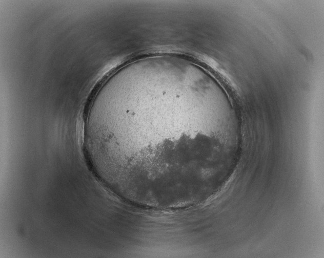 X0000116861221201001051418