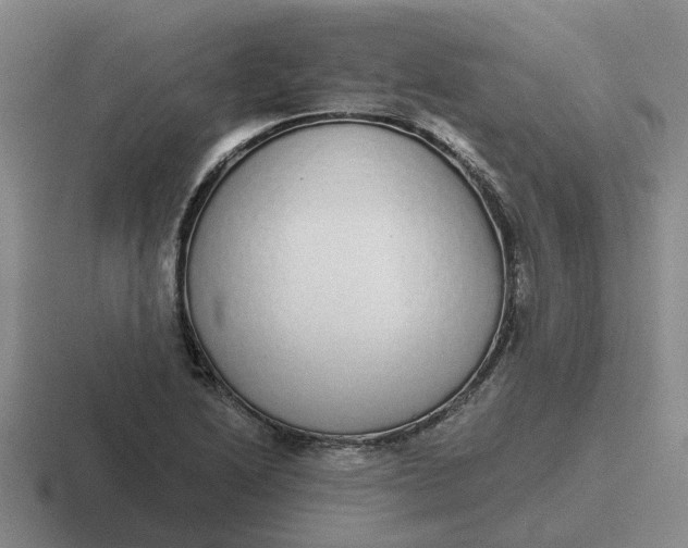 X0000116861222201001051418