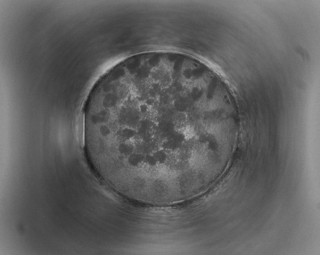 X0000116861223201001051418