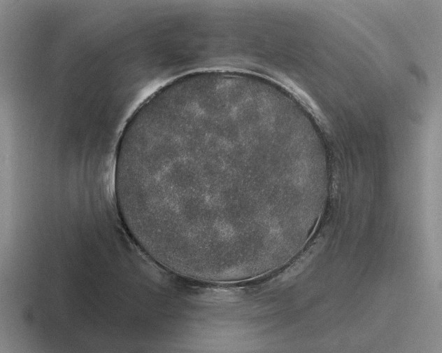 X0000116861224201001051418