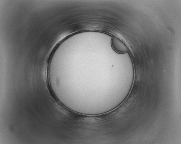 X0000116861227201001051418