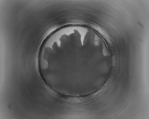 X0000116861229201001051418