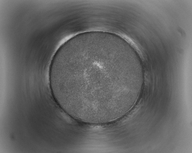 X0000116861230201001051418