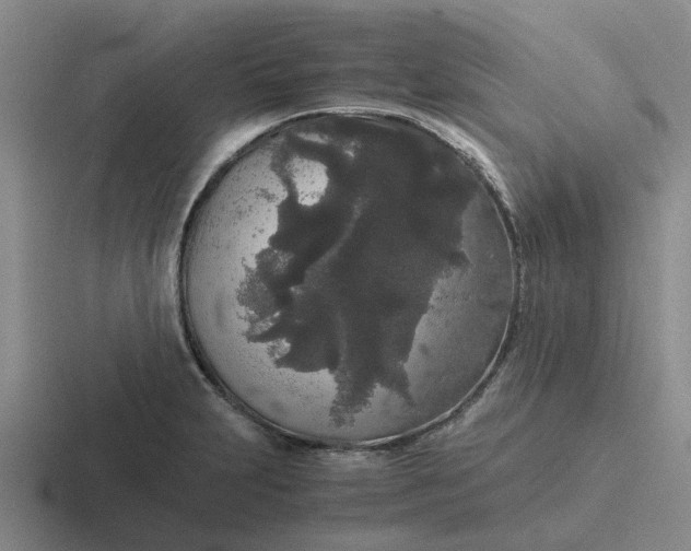 X0000116861231201001051418