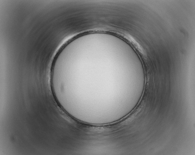 X0000116861232201001051418