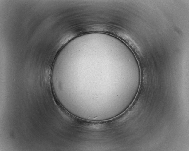 X0000116861233201001051418