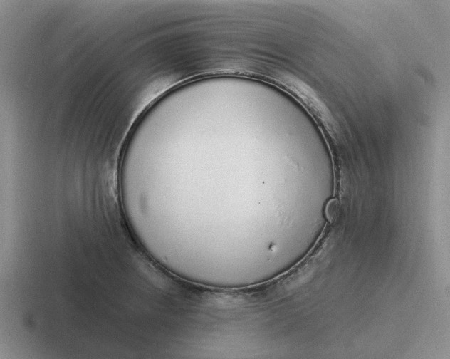 X0000116861234201001051418