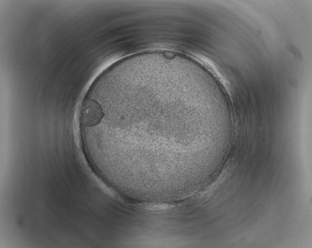 X0000116861235201001051418