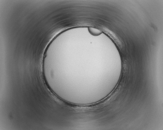 X0000116861236201001051418