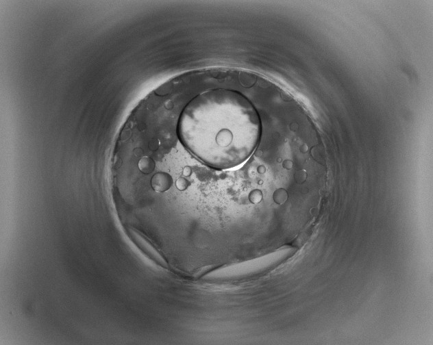 X0000116861239201001051418