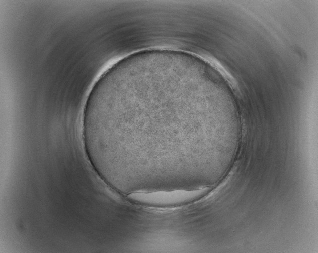 X0000116861240201001051418