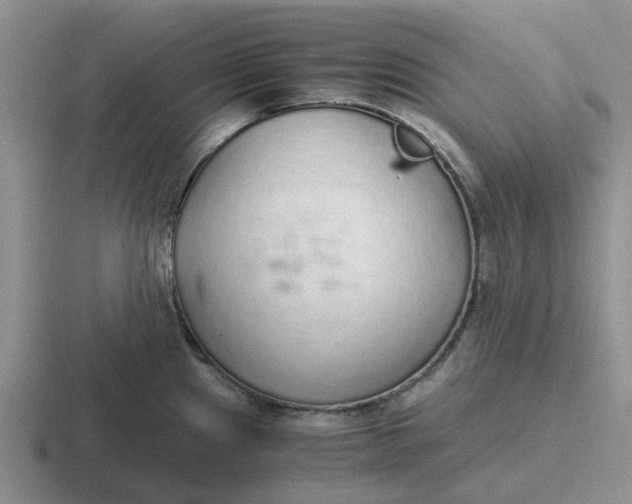 X0000116861241201001051418