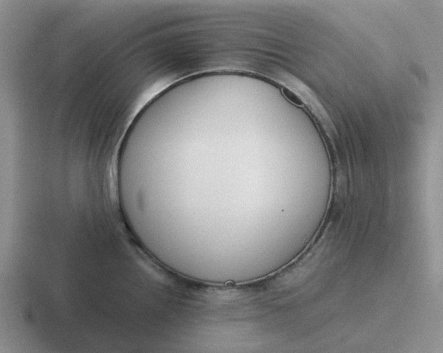 X0000116861242201001051418