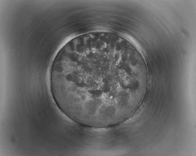 X0000116861243201001051418